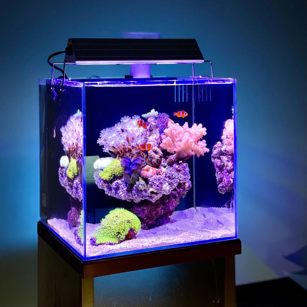 海水魚珊瑚飼育セット１４　ろ過機