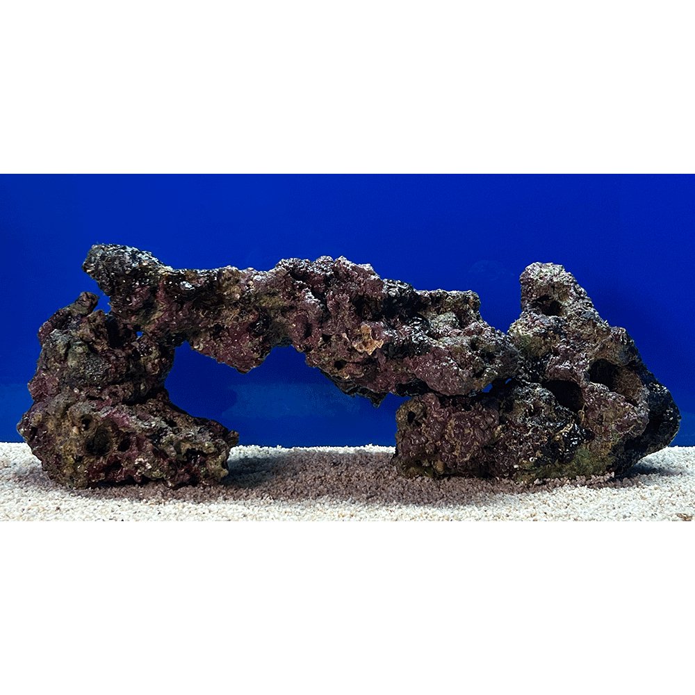 ライブロックの選び方 必要量とカタチのあれこれ | AQUALASSIC